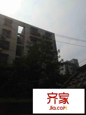 雙樂園外景圖