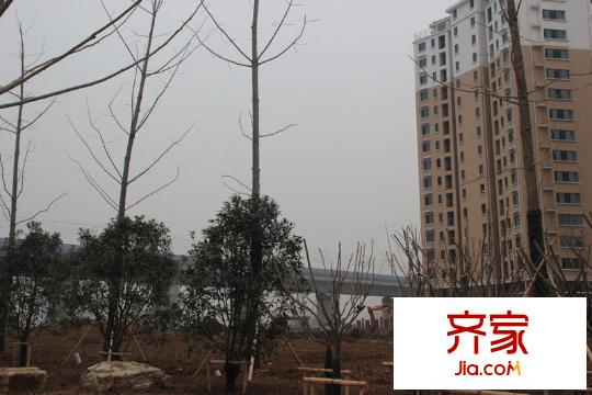 武夷水岸家園外景圖小區(qū)外面后方外景（2013.1.7）