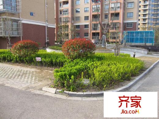 武夷水岸家園實(shí)景圖北區(qū)工地實(shí)景（2013.3.15）
