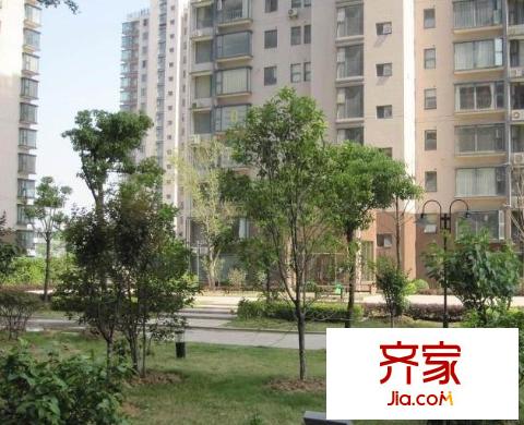 龍鳳玫瑰園外景圖