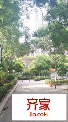 龍鳳玫瑰園