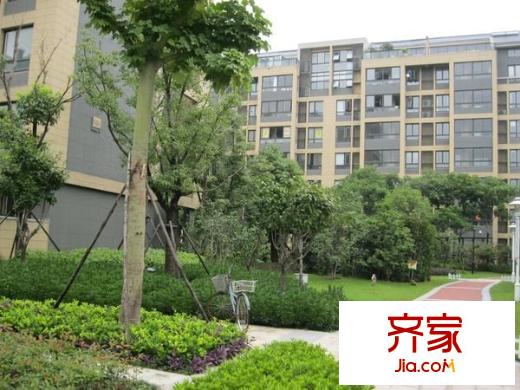 奧體新城青桐園外景圖 