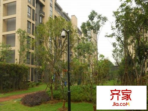 奧體新城青桐園外景圖