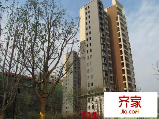 融僑中央花園外景圖 