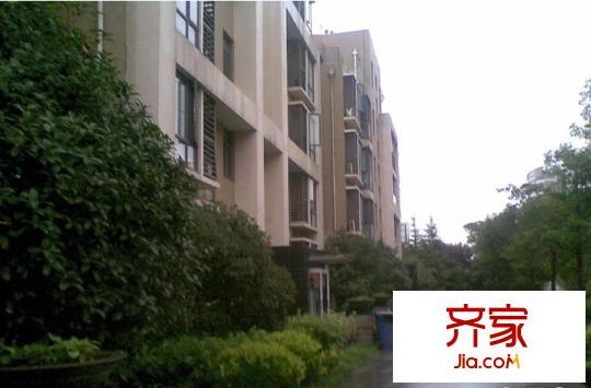 濱江奧城外景圖