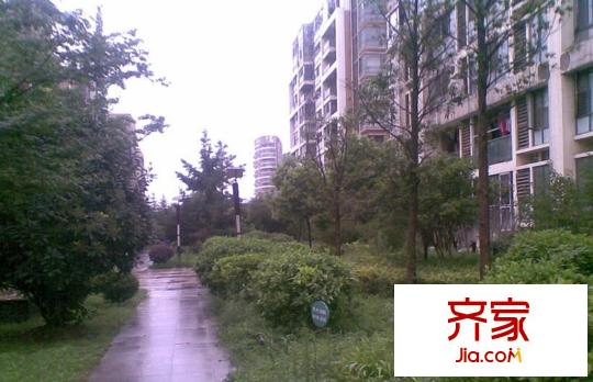 濱江奧城外景圖