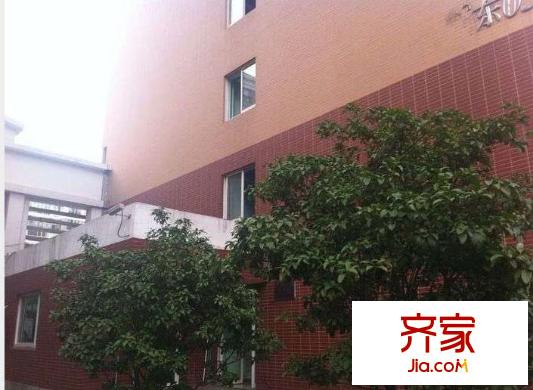 托樂嘉單身公寓外景圖 