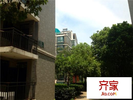 挪威森林外景圖