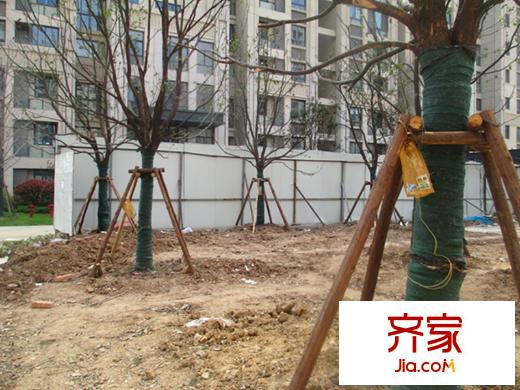 融僑世家實(shí)景圖項(xiàng)目現(xiàn)場(chǎng)（2013.3.27）