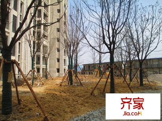 融僑世家實(shí)景圖項(xiàng)目現(xiàn)場(chǎng)（2013.3.27）