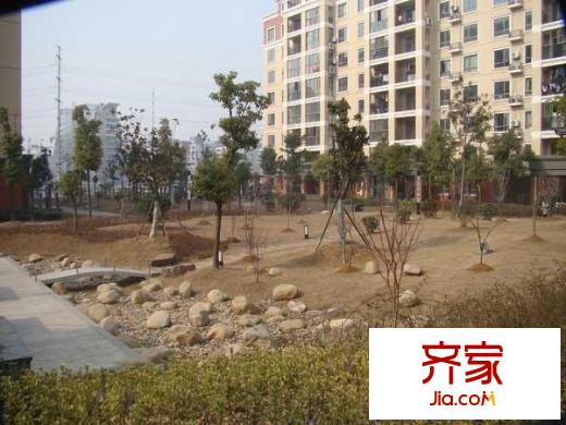 金域中央街區(qū)外景圖