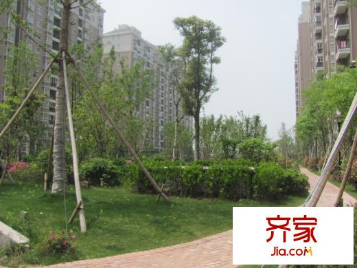 金城麗景