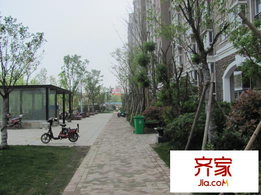 金城麗景外景圖二期小區(qū)綠化（2013.4.25）