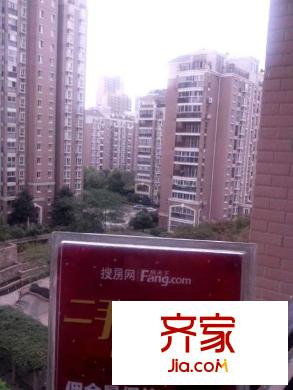 金城麗景外景圖