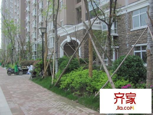 金城麗景外景圖二期小區(qū)綠化（2013.4.25）