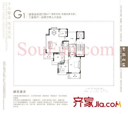 天泓山莊戶型圖戶型圖 3室 3室2廳2衛(wèi)