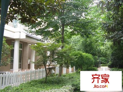 天泓山莊外景圖