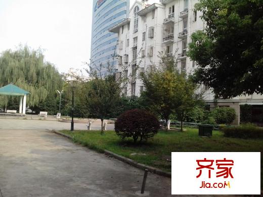 高新花苑外景圖