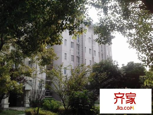 高新花苑外景圖