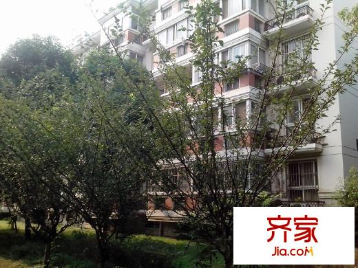 高新花苑外景圖