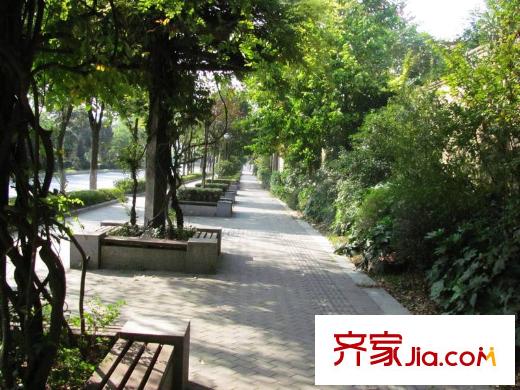 金基匯錦國際配套圖樂山路