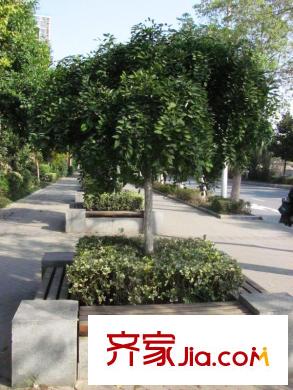 金基匯錦國際配套圖樂山路