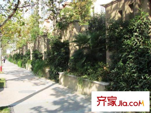 金基匯錦國際配套圖東側(cè)的樂山路