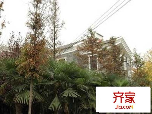 金地名京外景圖 