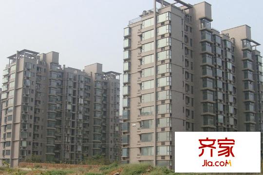 高爾夫國際花園項目實景（2015-3-19）