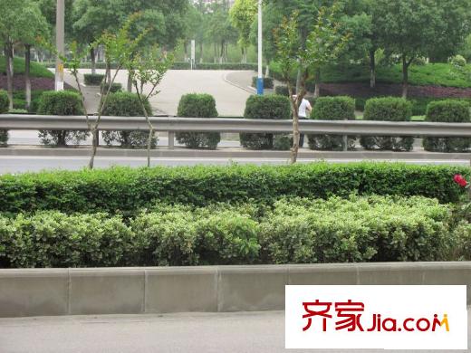 天華綠谷莊園配套圖項目西側(cè)道路（2010.05.28）