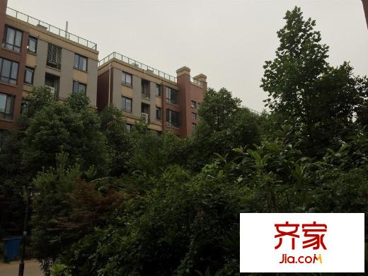 仙龍灣外景圖