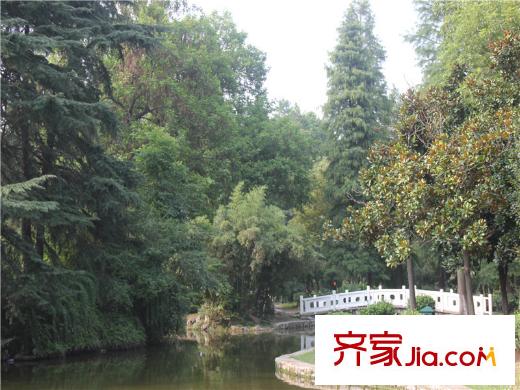 大華錦繡華城浦口公園小橋（2014-08-21）