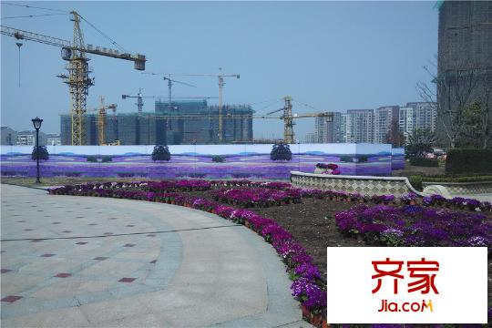 大華錦繡華城小區(qū)內(nèi)部綠化（2015-3-23）