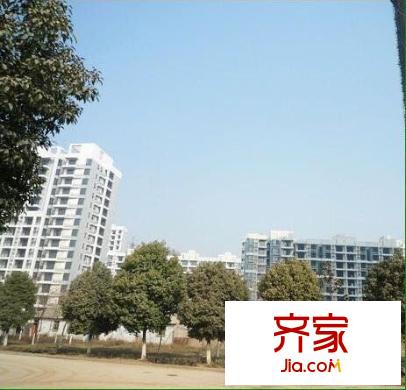 旭日愛上城1-4區(qū)外景圖