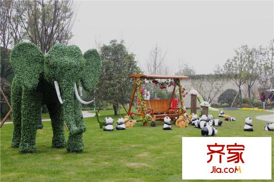 南京碧桂園售樓處綠化（2015-11-16）