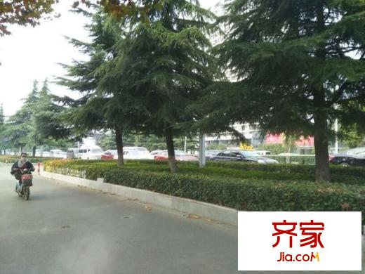 江岸水城外景圖