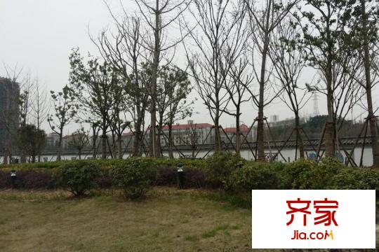 通宇G59地塊