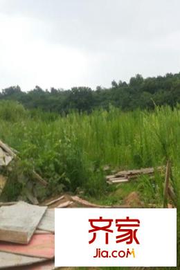 昆侖沃華大埔塘東G76地塊工地實景（2015-03-19）