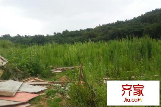 昆侖沃華大埔塘東G76地塊暫未動工（2015-03-19）