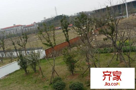 通宇G58地塊地塊現(xiàn)狀（2015-03-26）