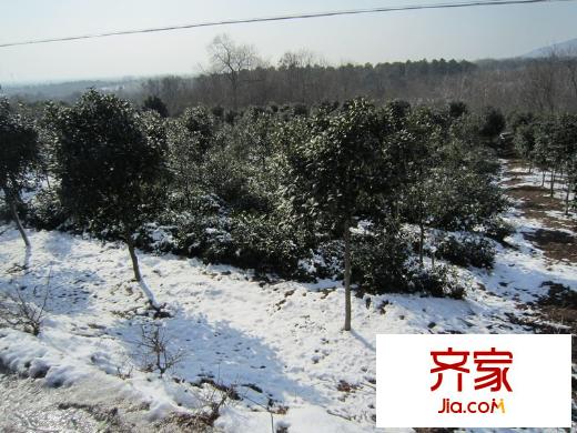 明發(fā)浦口G86地塊項(xiàng)目地塊實(shí)景（2013-01-23）