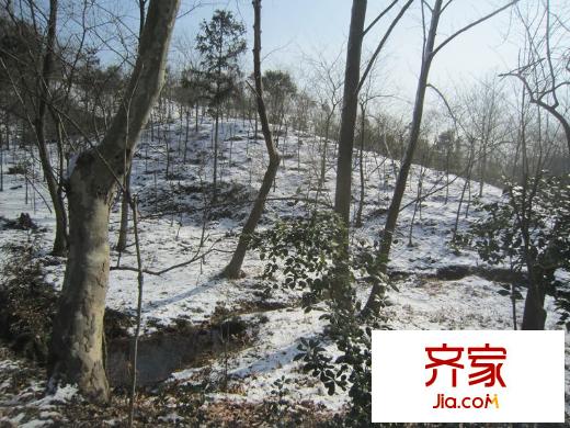 浦口國有資產G87地塊老山風光