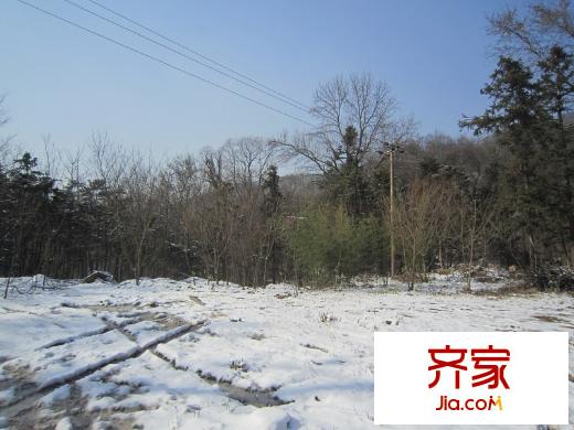 浦口國有資產(chǎn)G87地塊老山風(fēng)光