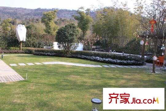 陽明山莊小區(qū)綠化（2012.2）