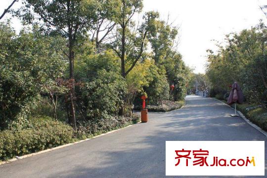 陽明山莊門前小路（2012.2）