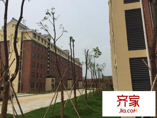 陶然經(jīng)典外景圖