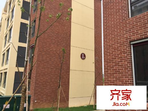 陶然經(jīng)典外景圖
