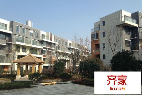 國(guó)信慧谷山居現(xiàn)房實(shí)景（2015-3-26）