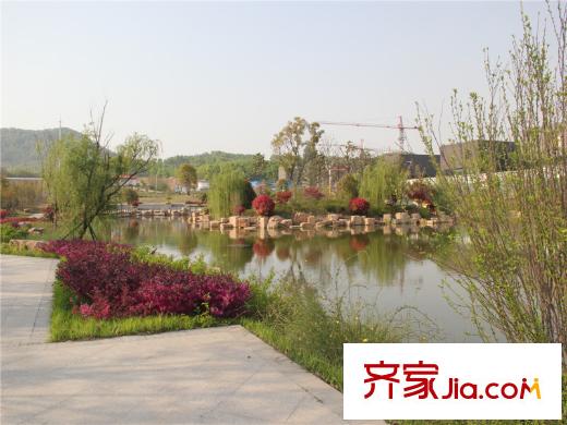 國(guó)信慧谷山居環(huán)境