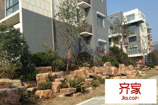 國(guó)信慧谷山居現(xiàn)房實(shí)景（2015-3-26）